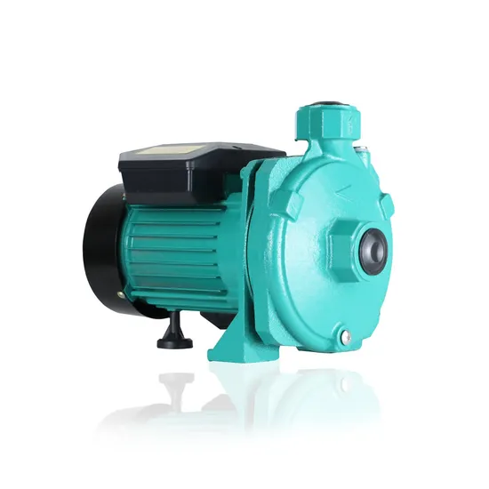 Cpm Factory Outlet Water Park 2.2kw 3HP Horizontal Stainless Steel Self Priming Water Centrifuge Pump
